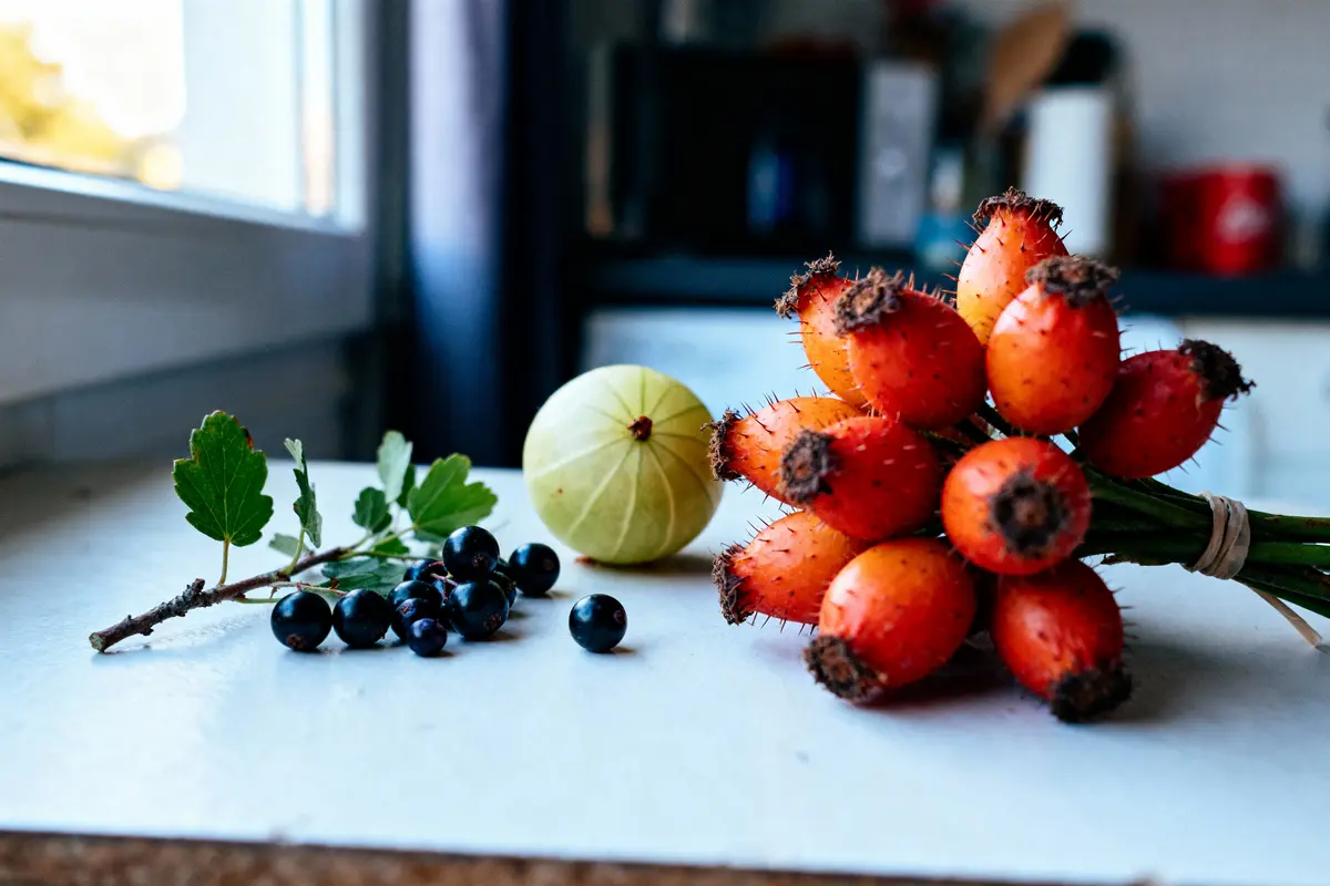 Fruits divers sur une table : cassis, groseille à maquereau, cynorhodons dans une cuisine en arrière-plan flou.
