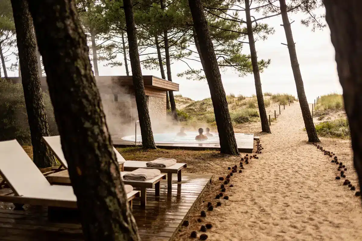 Hôtel Spa Forêt des Landes : Les Meilleures Détentes À Découvrir !