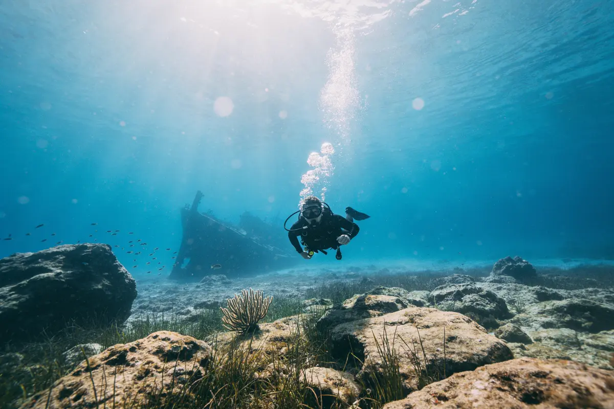 Plongée à Porquerolles : Découvrez les meilleurs spots !